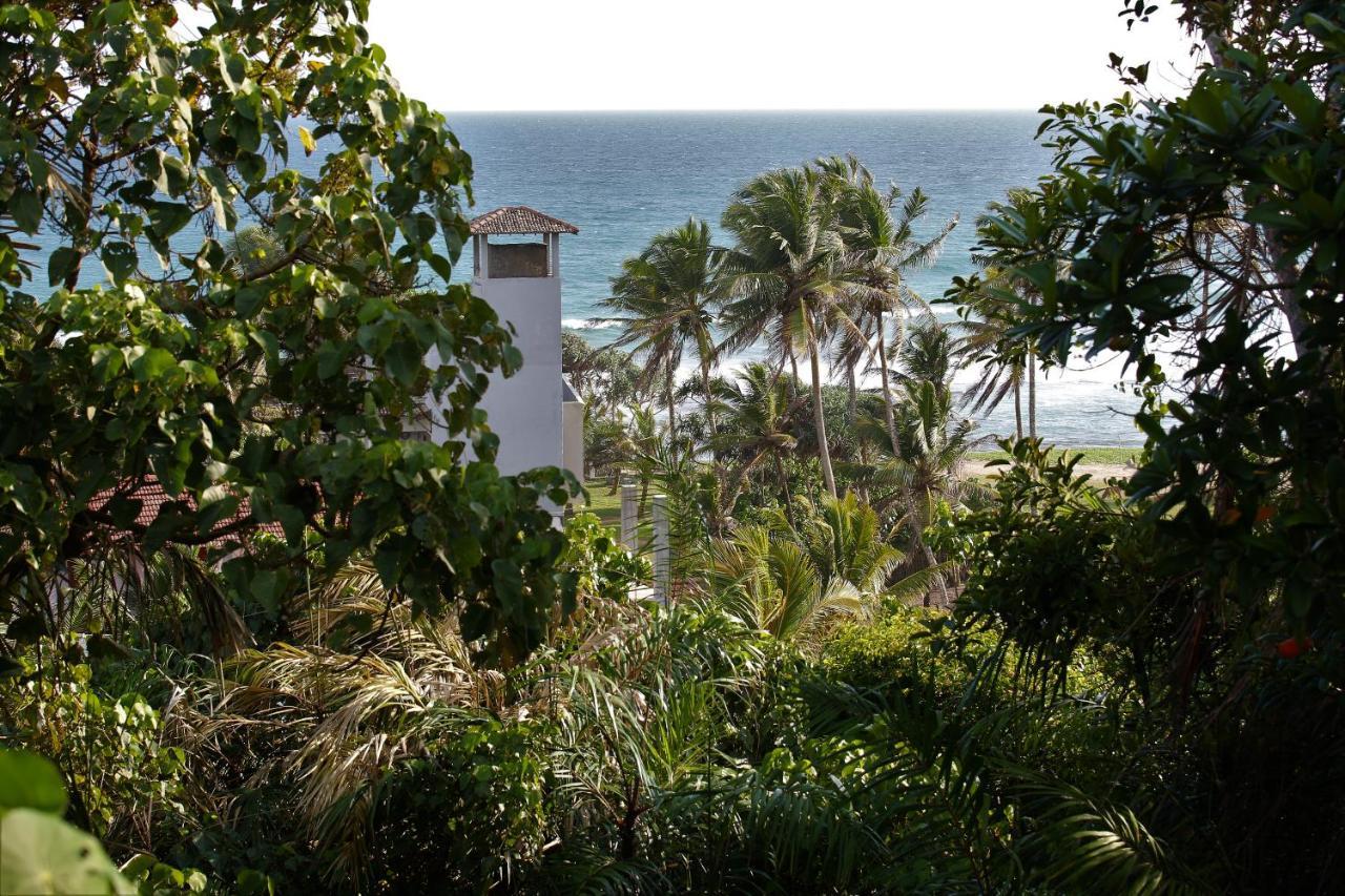 Sky Mountain Cafe With Seaview Bed & Breakfast Weligama Exterior photo
